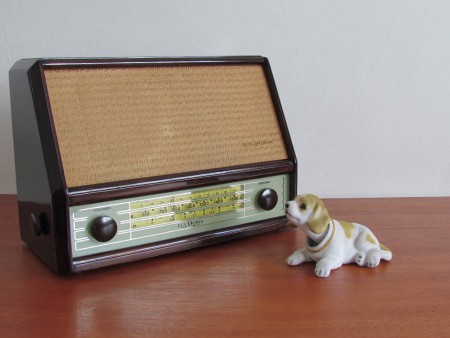 RCA 540mx